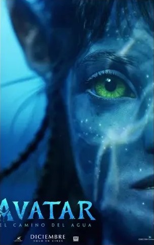 m8 - copia (11).webp